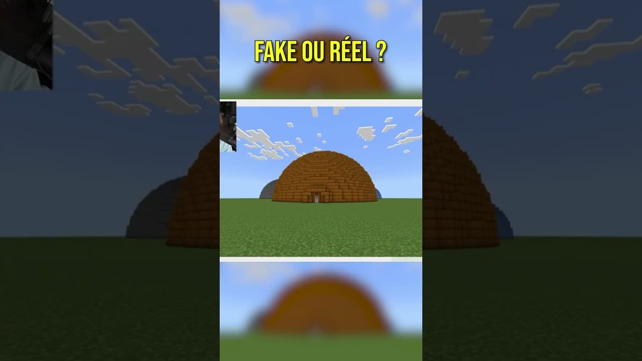 Fake ou Reel ?