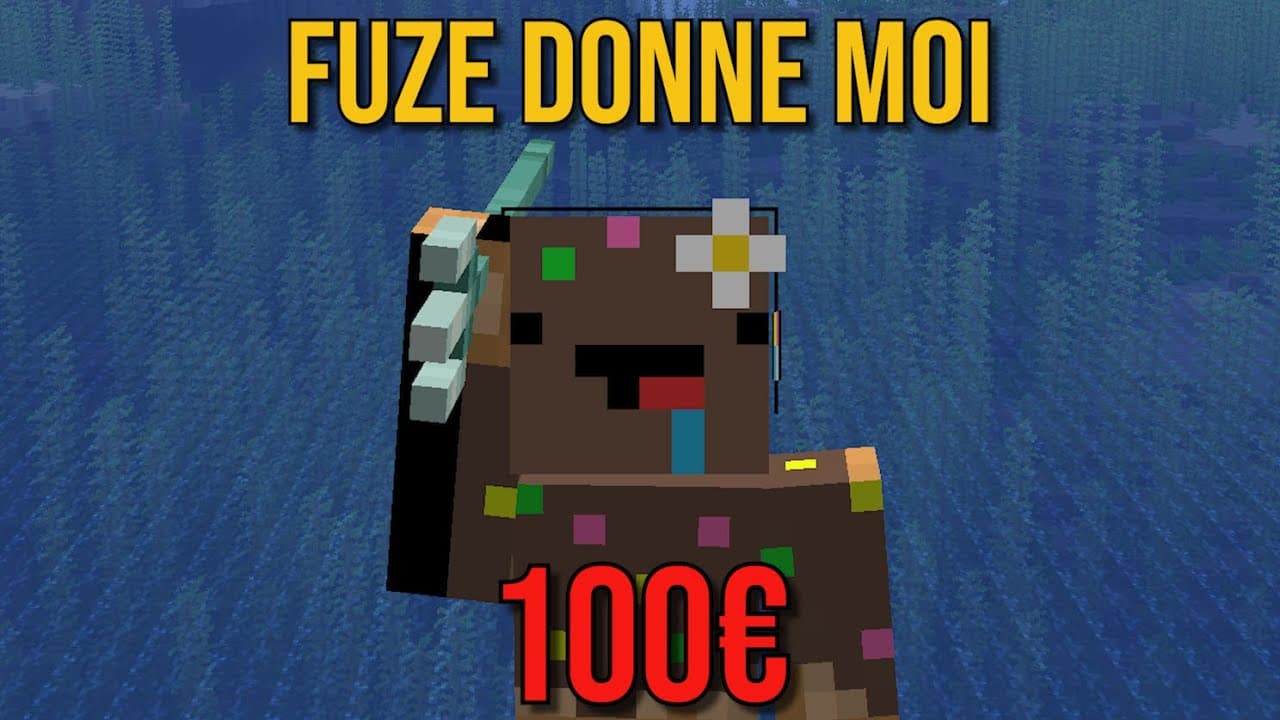 Ninjaxx aurait pu gagner 100 euros dans cette vidéo