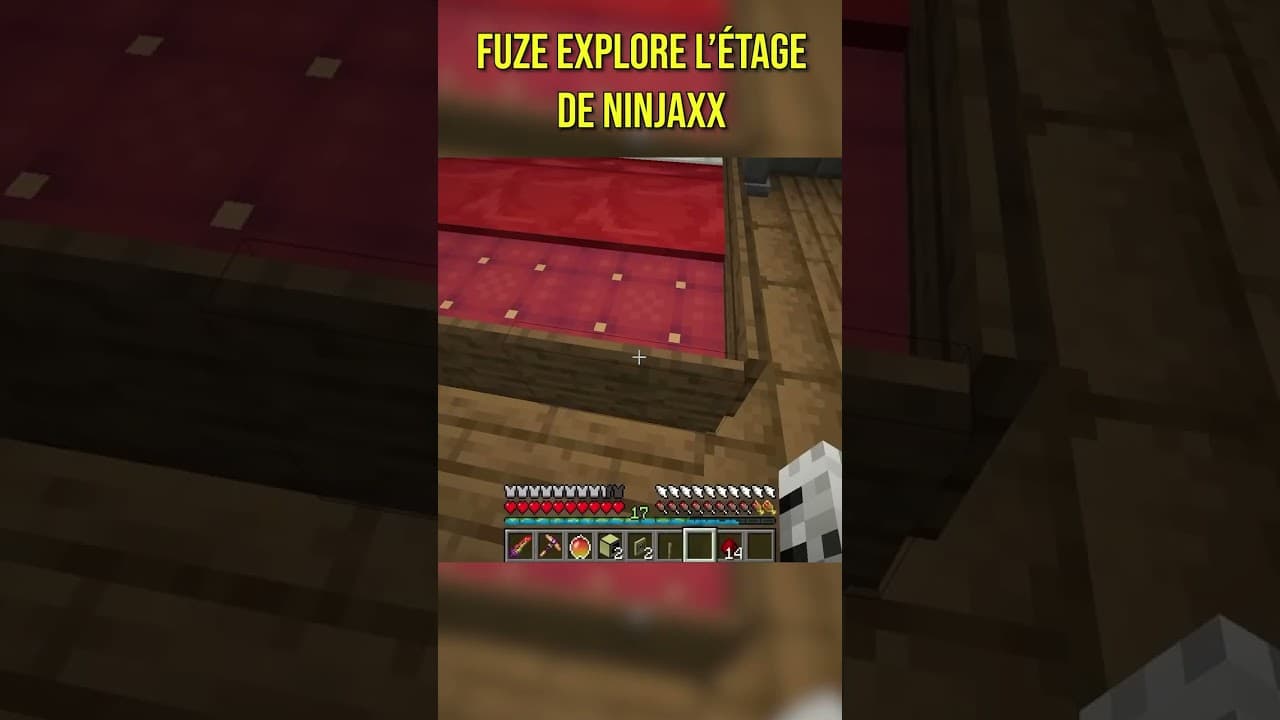 Ninjaxx a kidnappé de nouveau Didier...