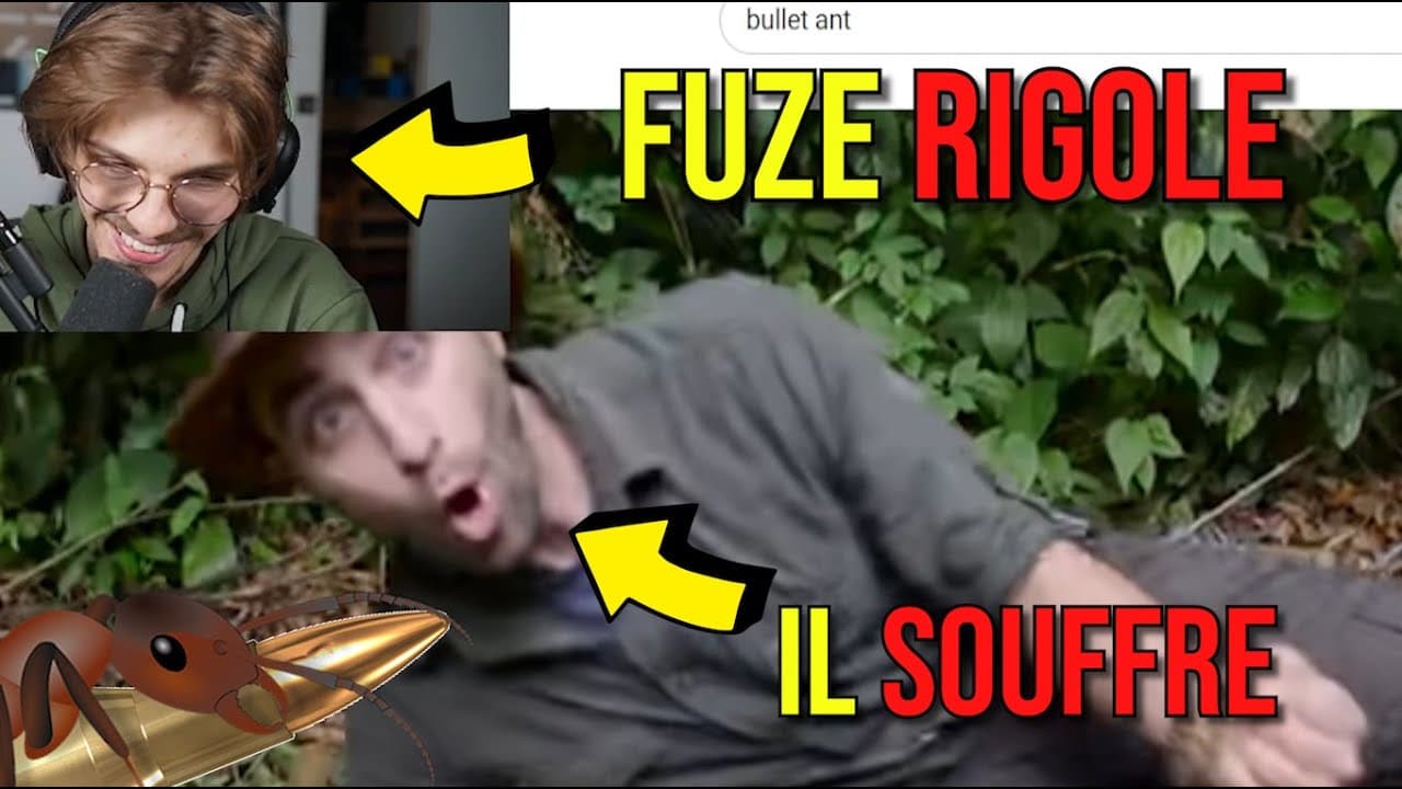 Fuze présente la fourmi balle de fusil en live