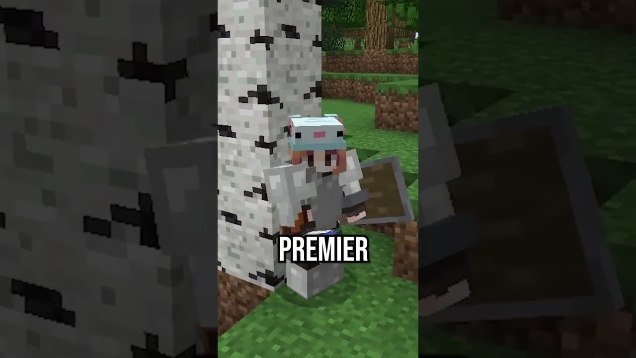 Finir Minecraft la tête à l’envers ?