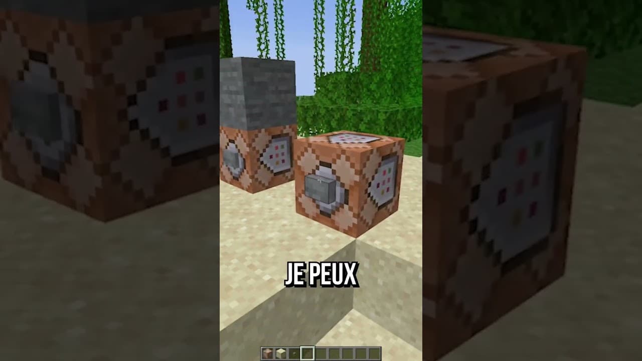 Cette mise à jour révolutionne Minecraft…