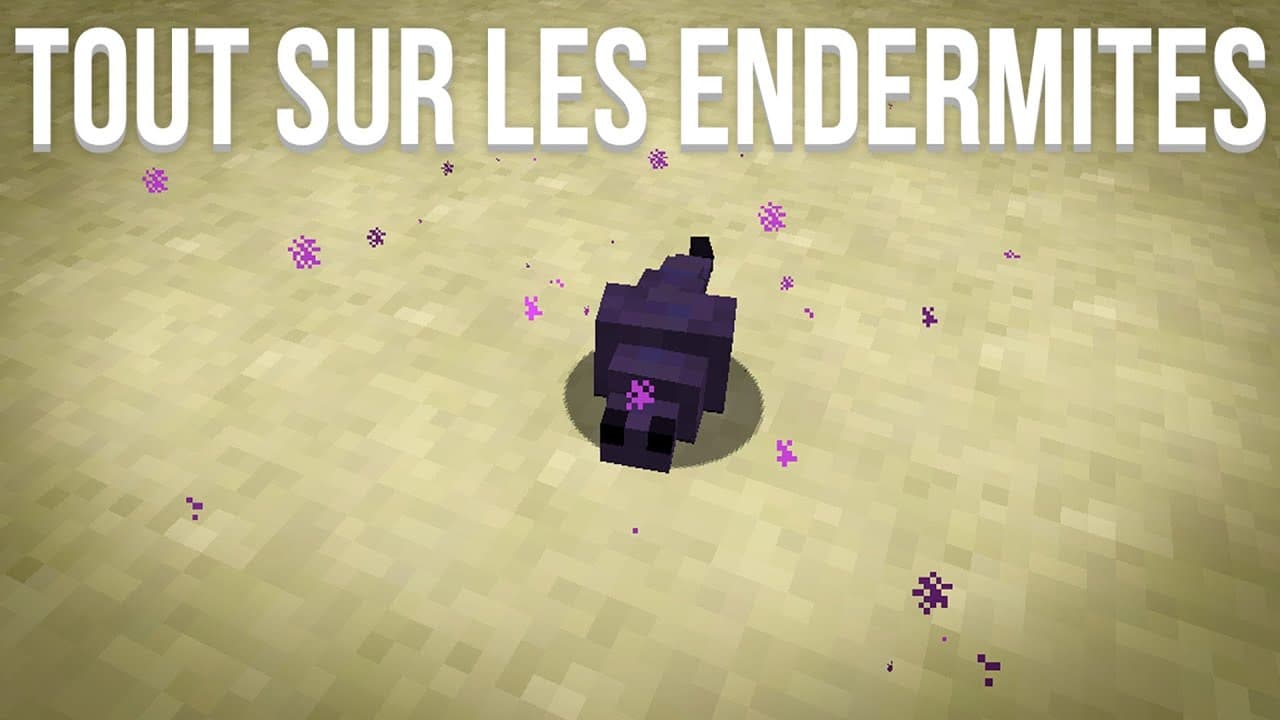 Tout sur les Endermites | Minecraft 1.8 - FR